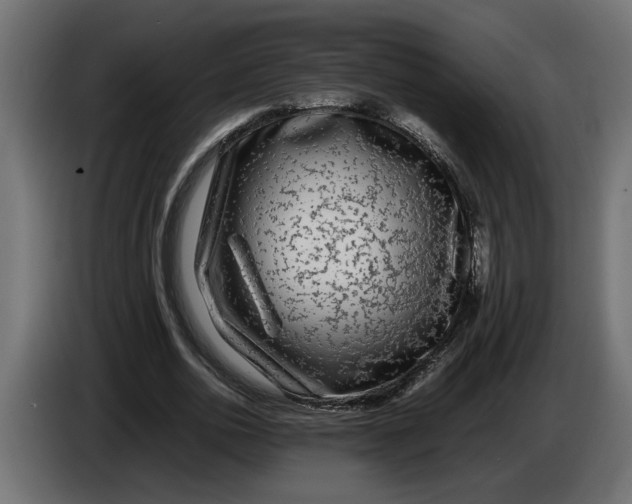 X0000083600726200703021912