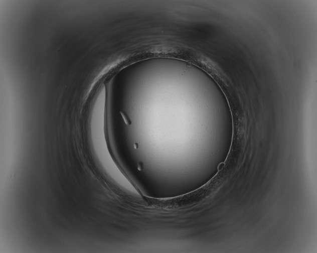 X0000083600727200703021912