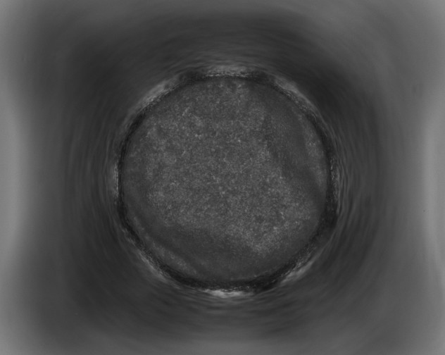 X0000083600729200703021912