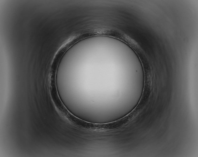 X0000083600730200703021912