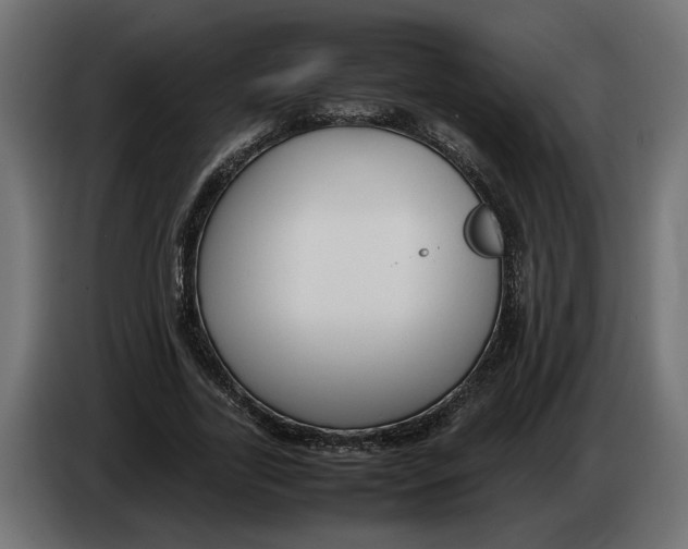 X0000083600731200703021912