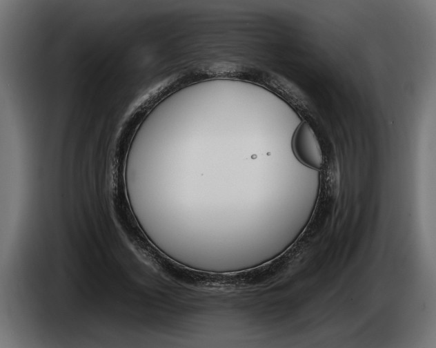 X0000083600732200703021912