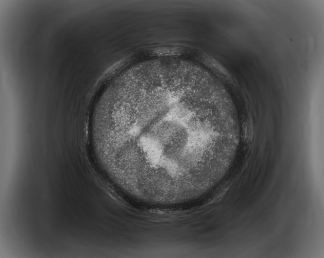 X0000083600733200703021912