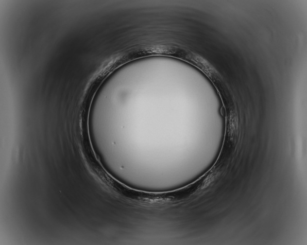 X0000083600734200703021912