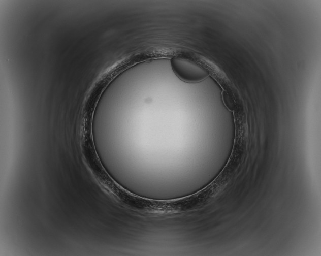 X0000083600736200703021912