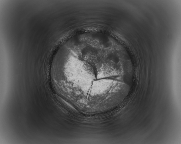 X0000083600737200703021912