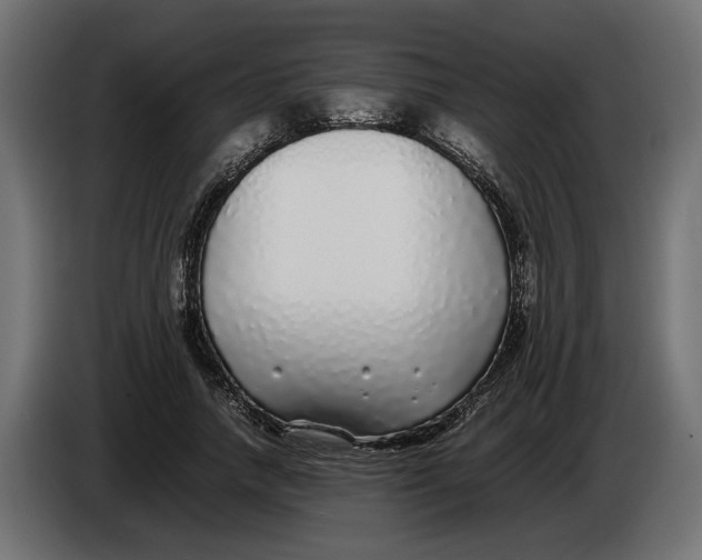 X0000083600738200703021912