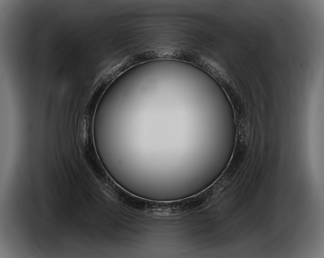 X0000083600740200703021912