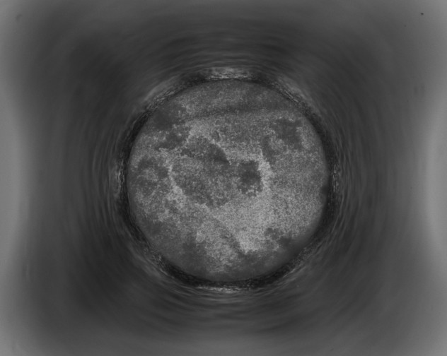 X0000083600741200703021912