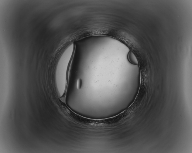 X0000083600742200703021912