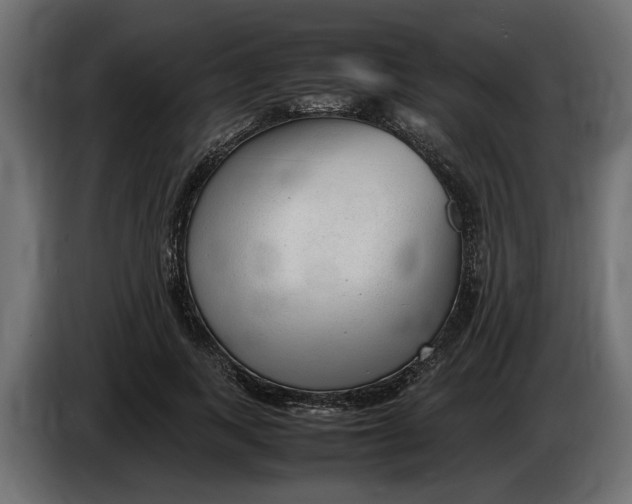 X0000083600743200703021912