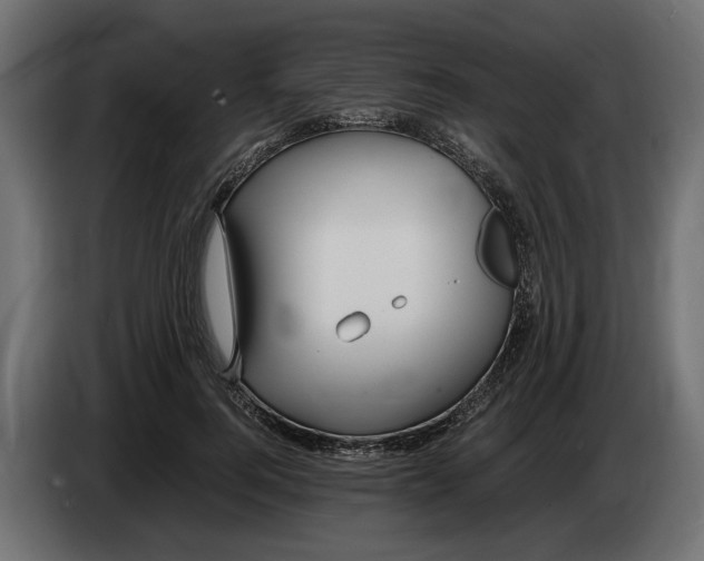 X0000083600744200703021912