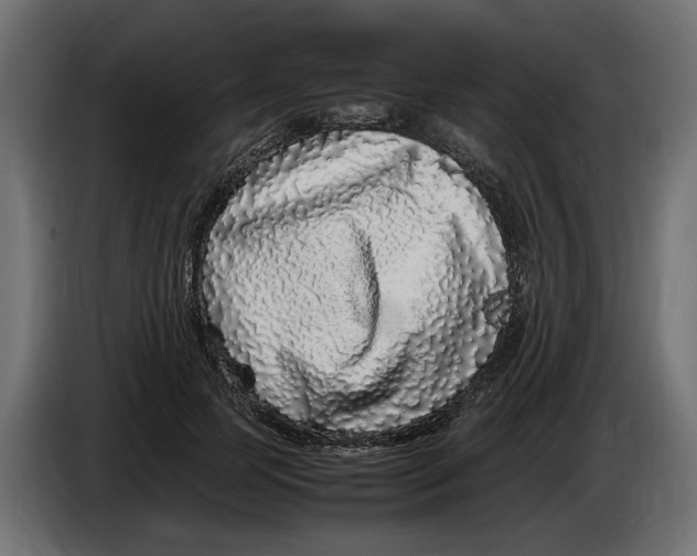 X0000083600745200703021912