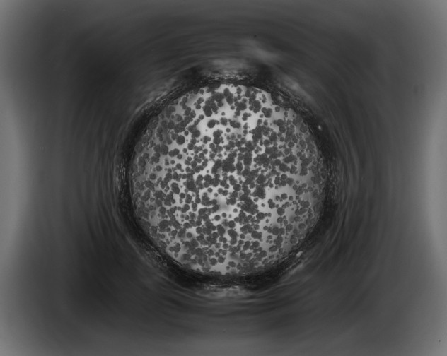 X0000083600747200703021912