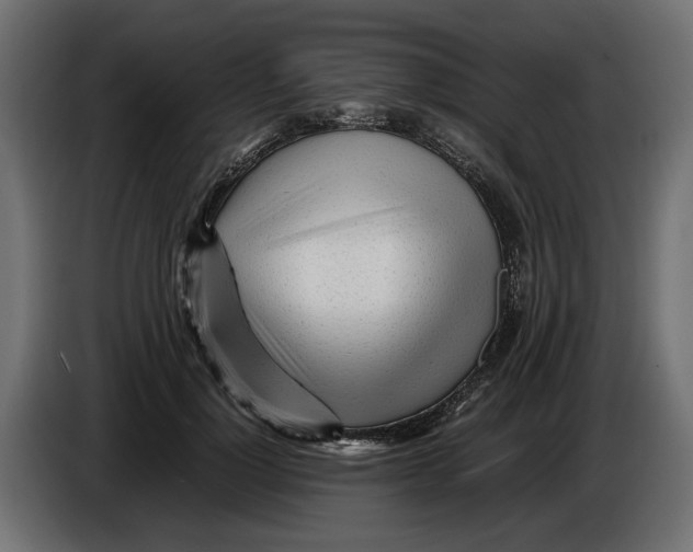 X0000083600748200703021912