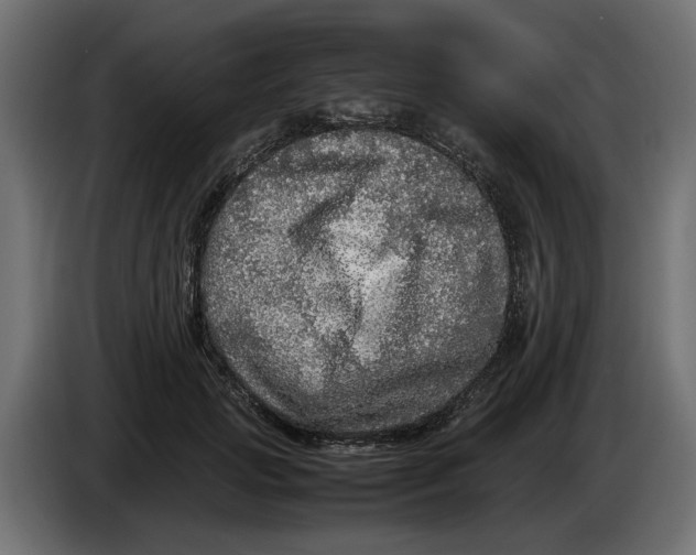 X0000083600749200703021912