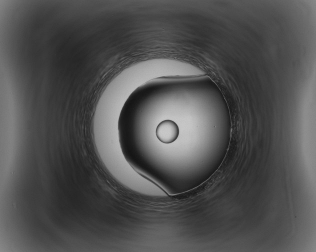 X0000083600750200703021912