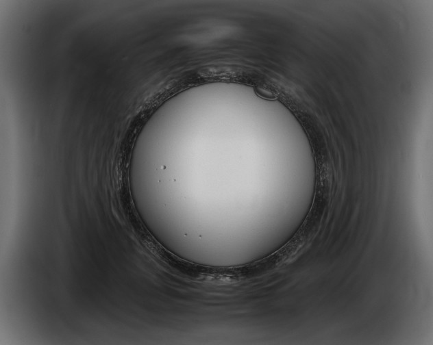 X0000083600751200703021912