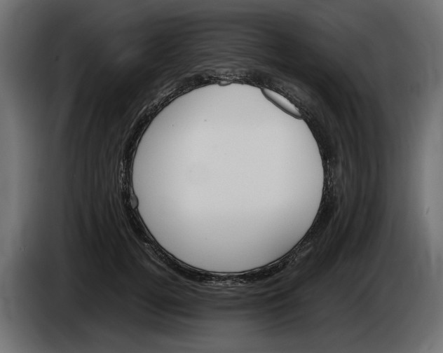 X0000083600752200703021912