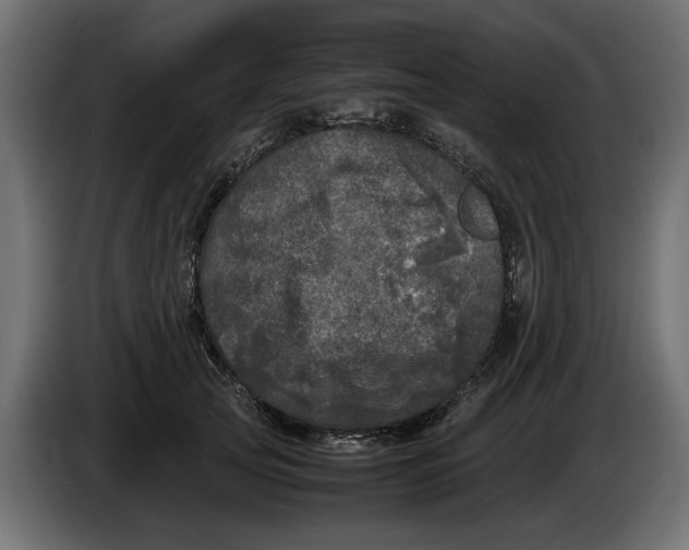 X0000083600753200703021912