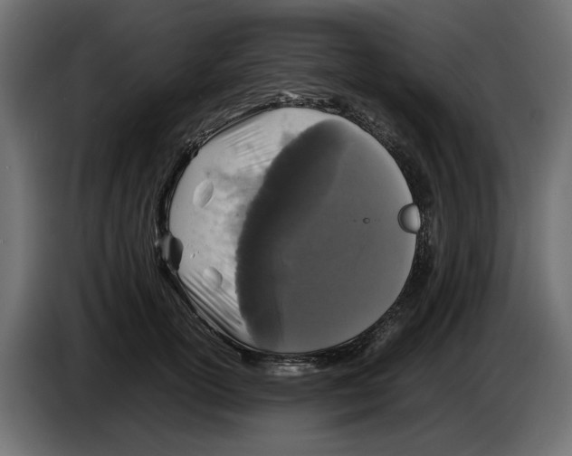 X0000083600754200703021912