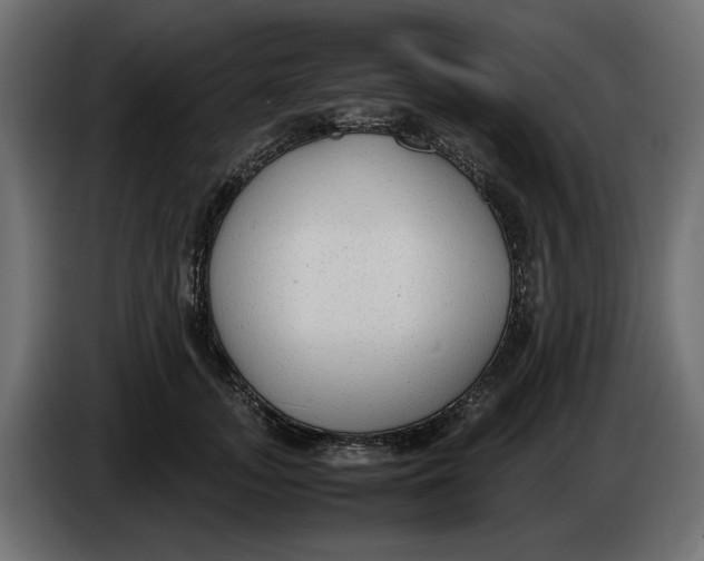 X0000083600755200703021912