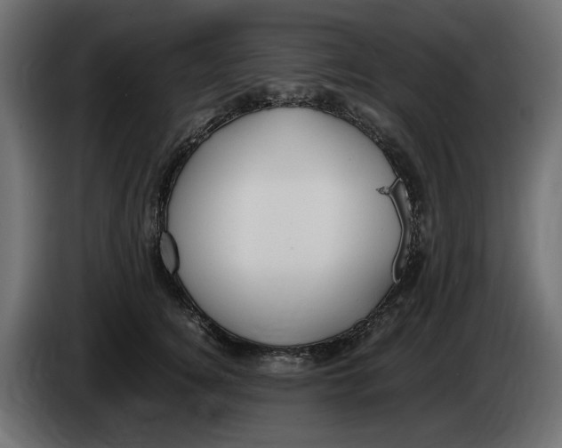 X0000083600756200703021913