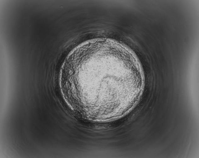 X0000083600757200703021913