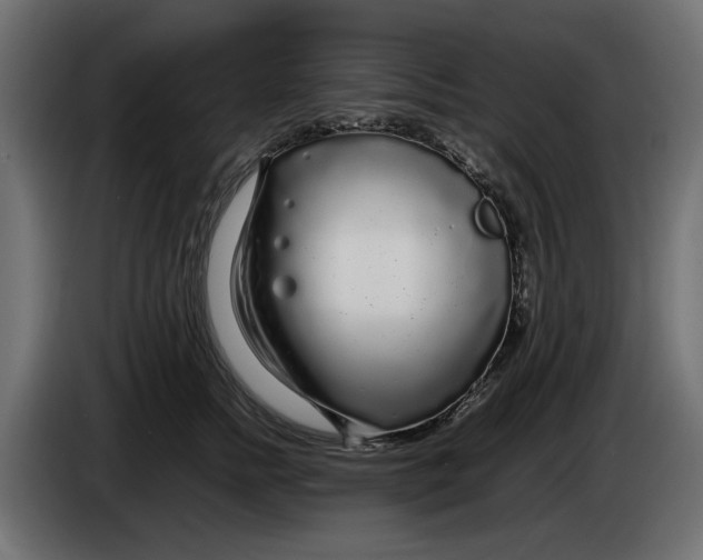 X0000083600758200703021913