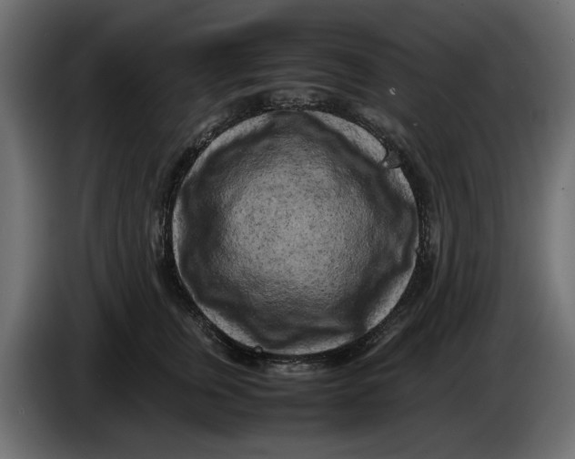 X0000083600759200703021913