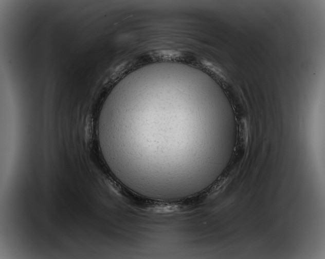 X0000083600760200703021913