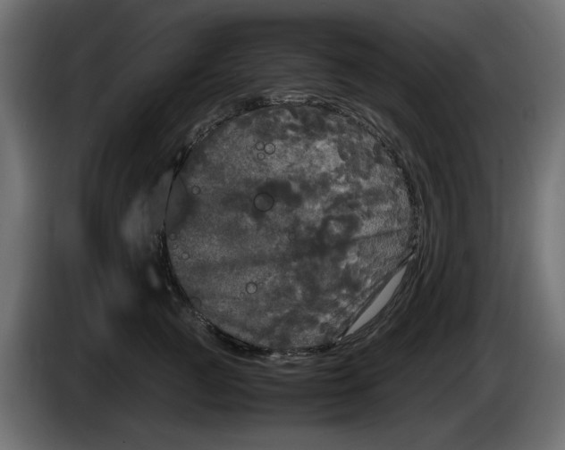 X0000083600761200703021913