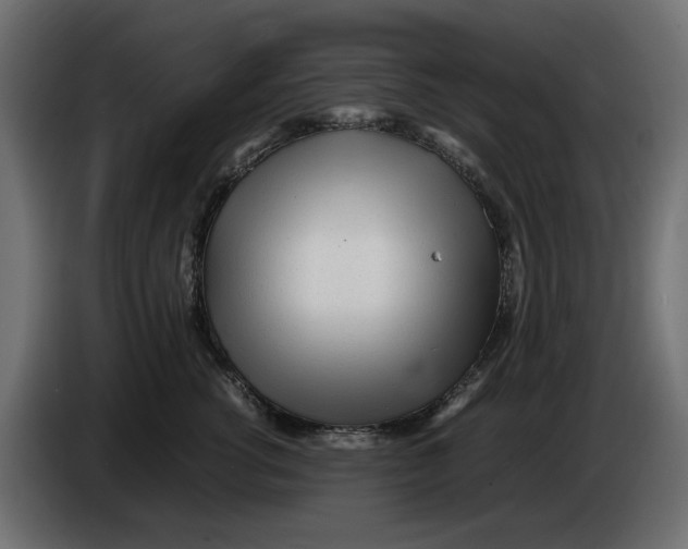 X0000083600762200703021913