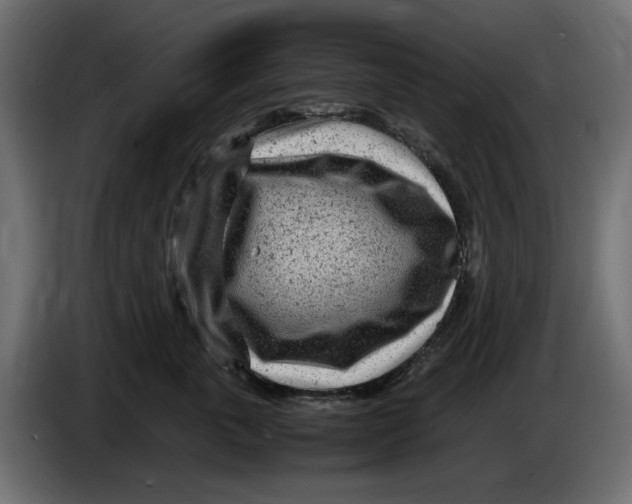 X0000083600763200703021913