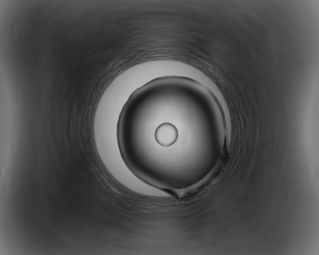 X0000083600764200703021913