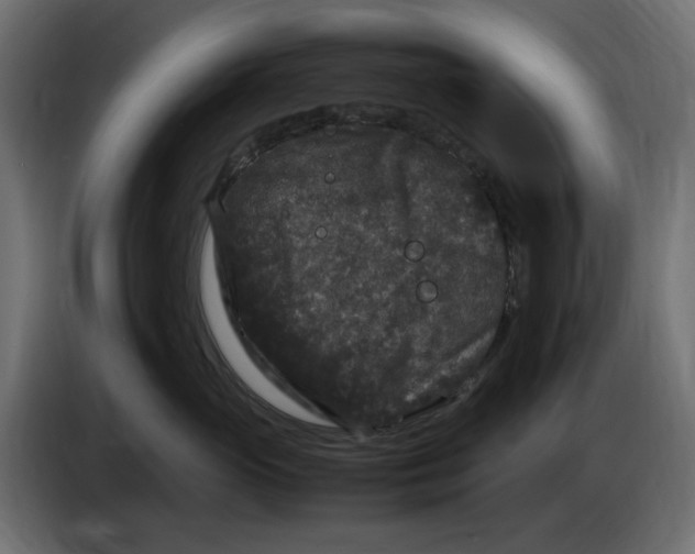 X0000083600765200703021913