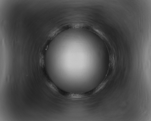 X0000083600766200703021913