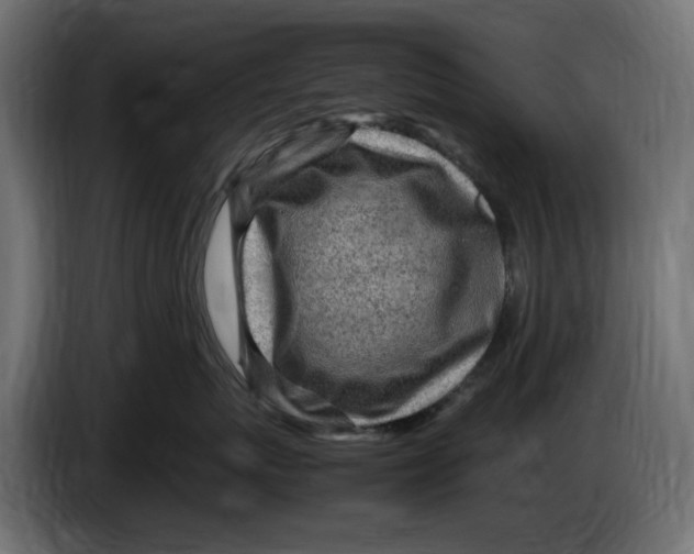 X0000083600767200703021913