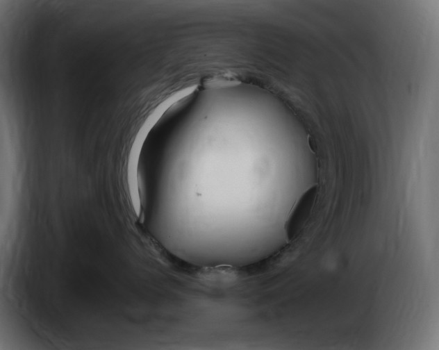 X0000083600768200703021913