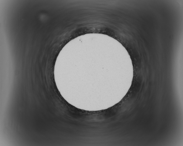 X0000083600769200703021912