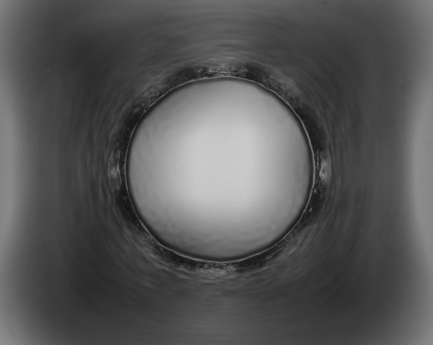 X0000083600771200703021912