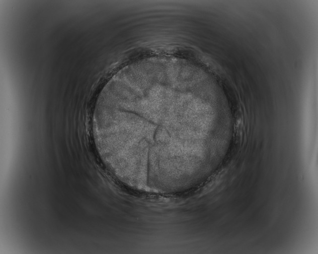 X0000083600772200703021912