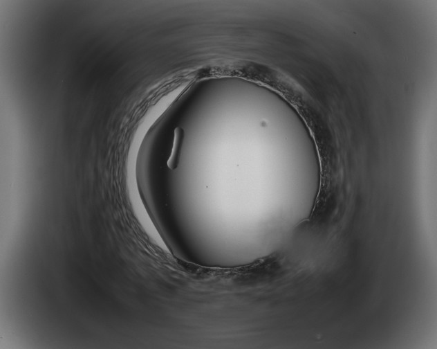 X0000083600773200703021912