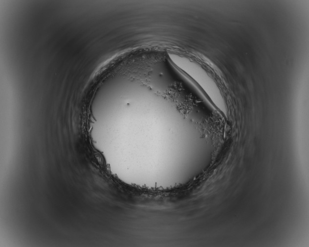 X0000083600775200703021912