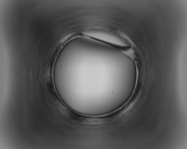 X0000083600777200703021912