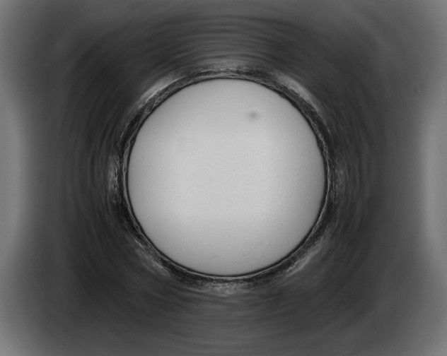 X0000083600778200703021912