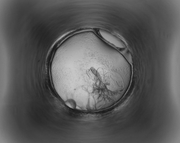 X0000083600779200703021912