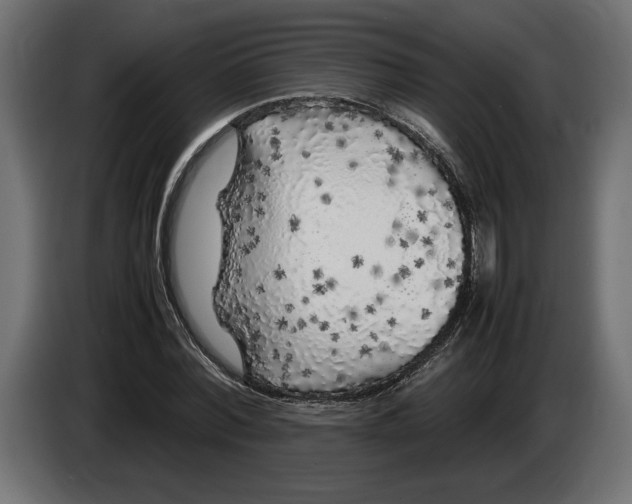 X0000083600780200703021912