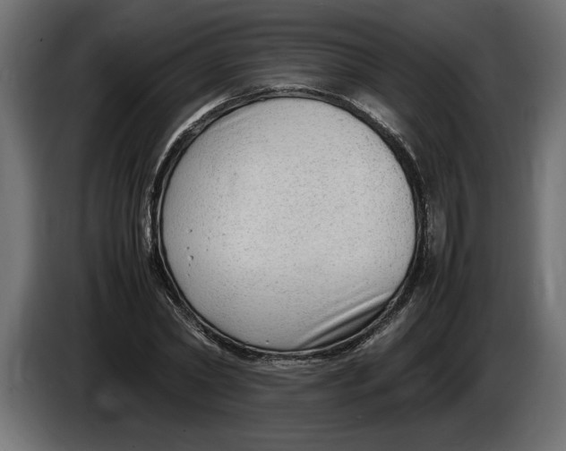 X0000083600782200703021912