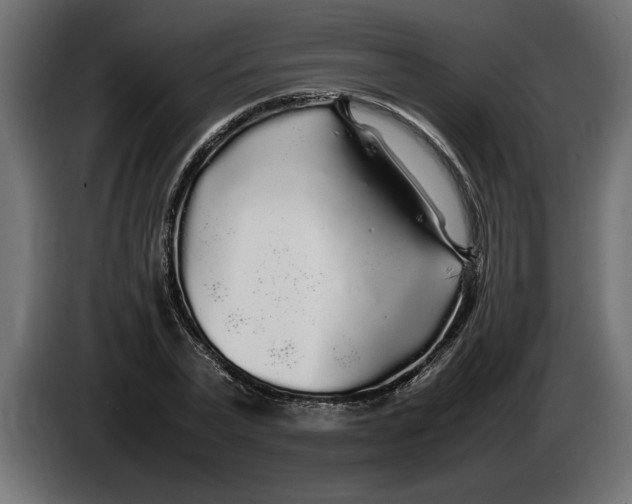 X0000083600783200703021912